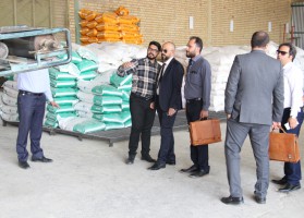 بازدید از شرکت چاودانه