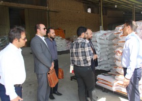 بازدید از شرکت چاودانه
